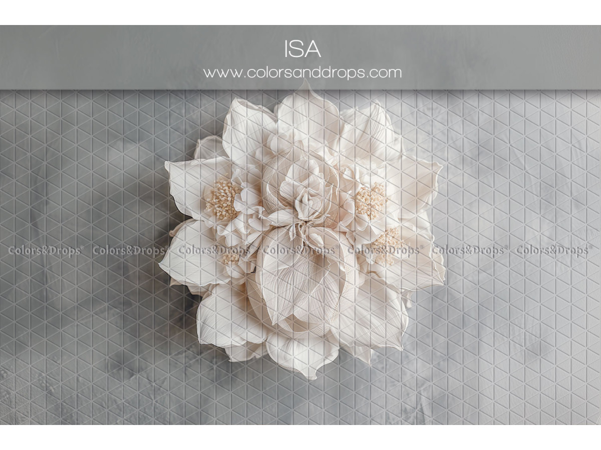 Newborn photo backdrop Isa – large white relief flower on grey background | Colors&Drops