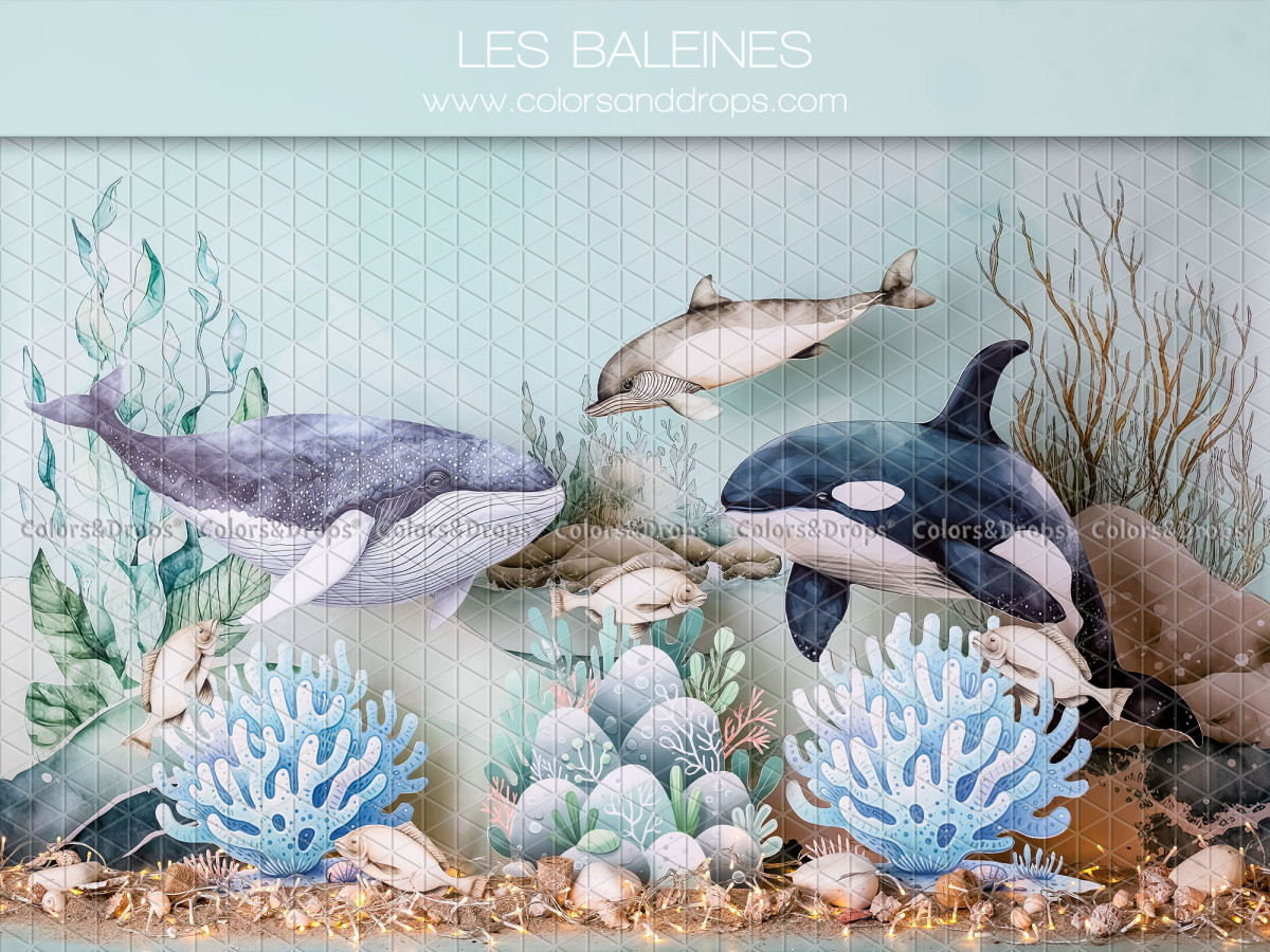 Baby & cake smash photo backdrop Les Baleines – whales and orca with blue coral | Colors&Drops