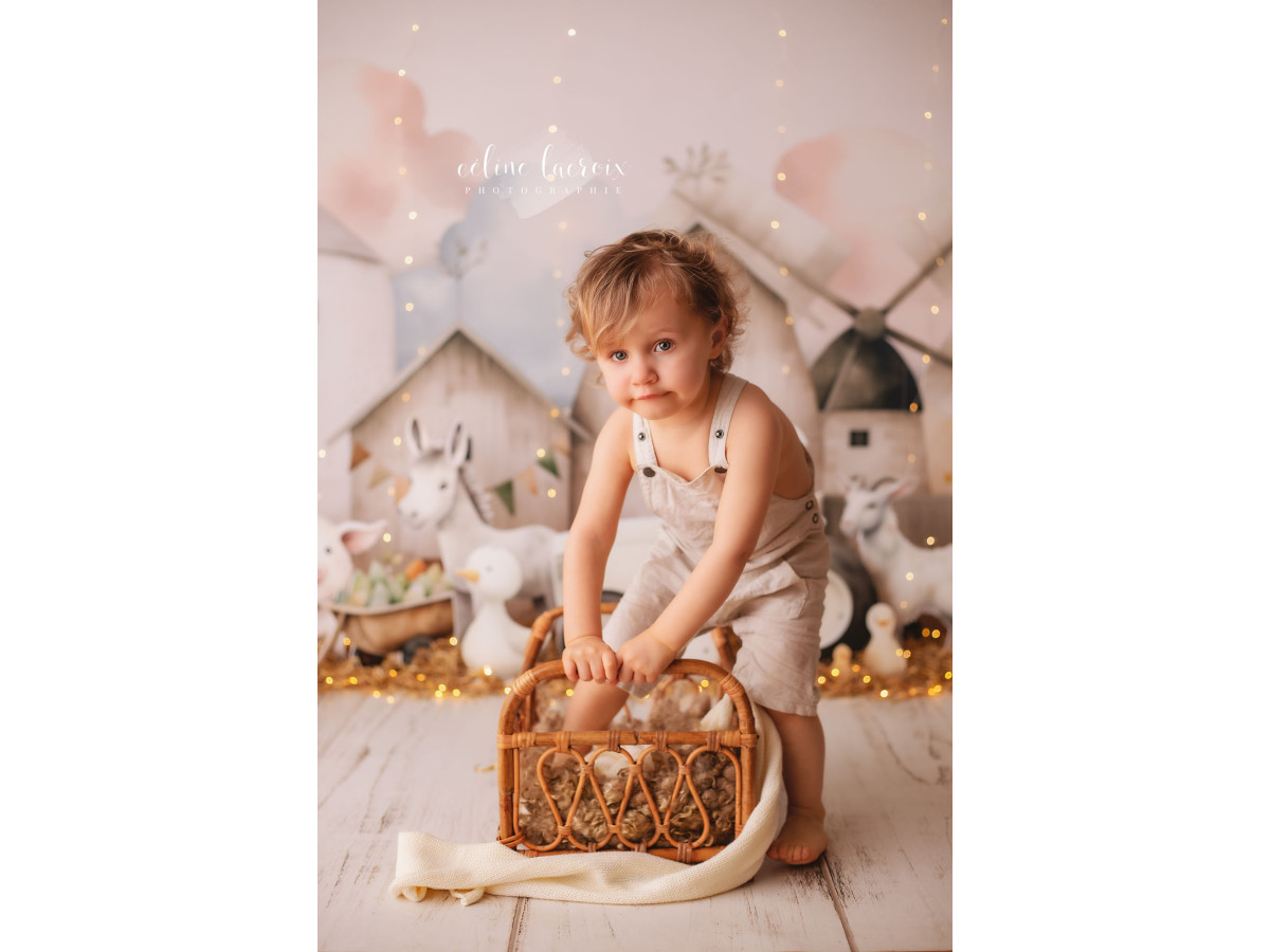 Baby & cake smash photo backdrop Les Animaux du Moulin – farm with windmill, tractor and animals | Colors&Drops