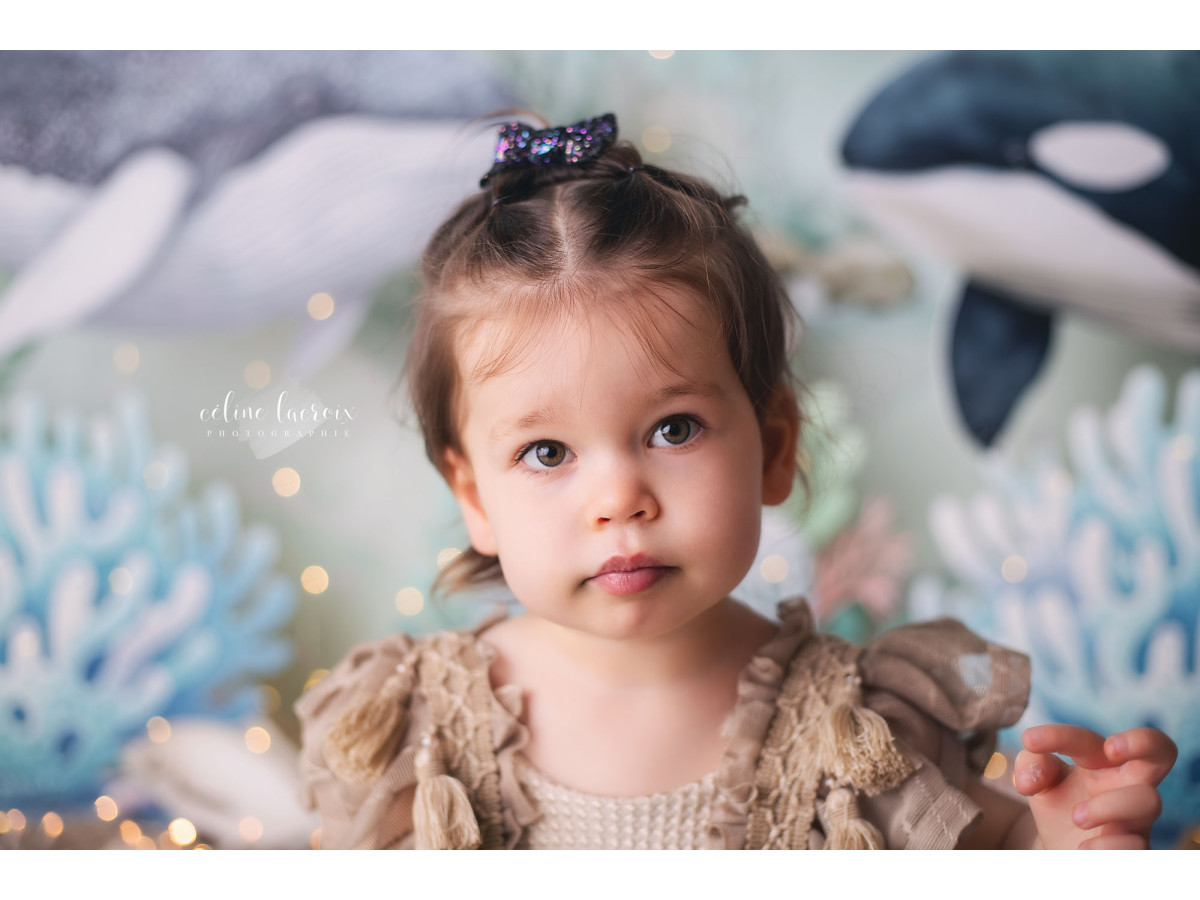 Fond photo bébé et smash cake Les Baleines – baleines et orque avec coraux bleus | Colors&Drops