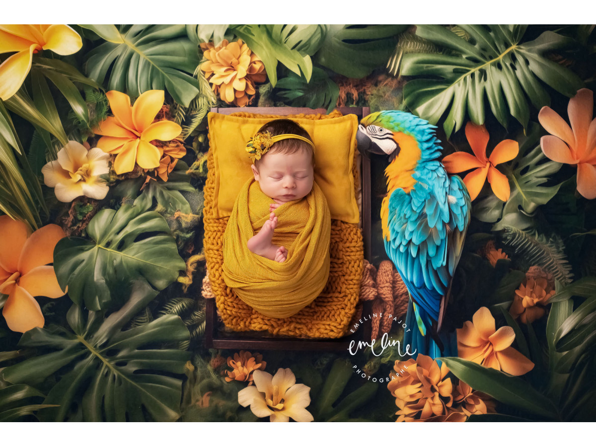 Newborn photo backdrop Perroquet – small wooden bed with parrot and tropical flowers | Colors&Drops