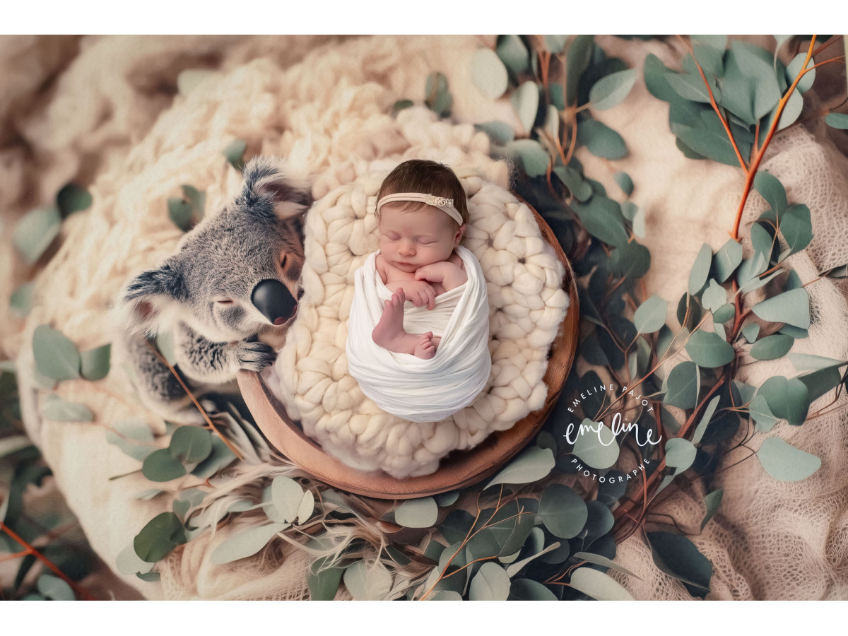 Newborn photo backdrop Koala – wool nest with koala and eucalyptus | Colors&Drops