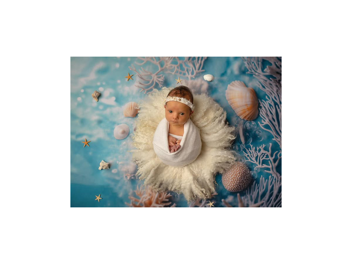 Newborn photo backdrop Underwater – wicker nest underwater with coral and seashells | Colors&Drops