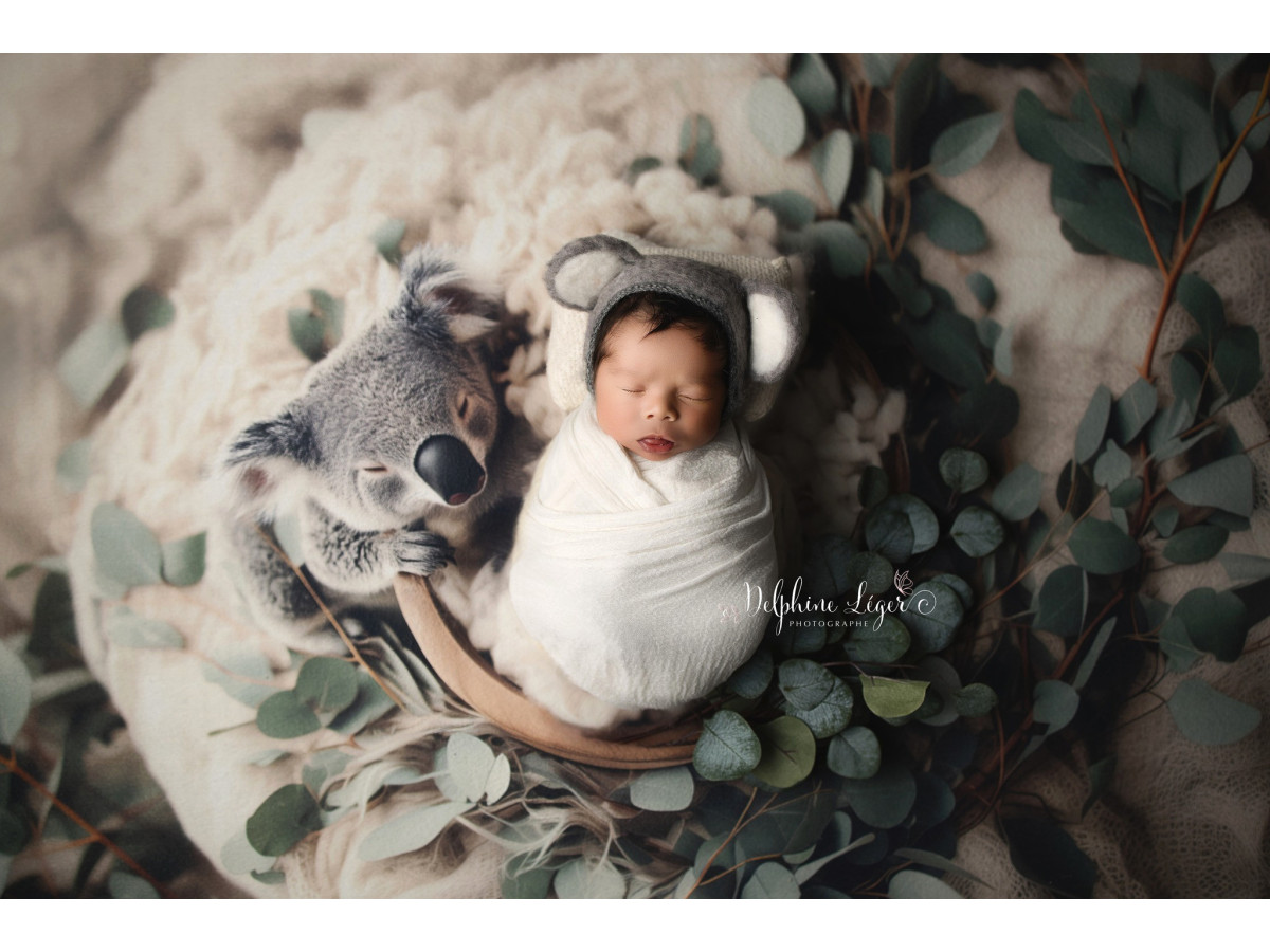 Newborn photo backdrop Koala – wool nest with koala and eucalyptus | Colors&Drops