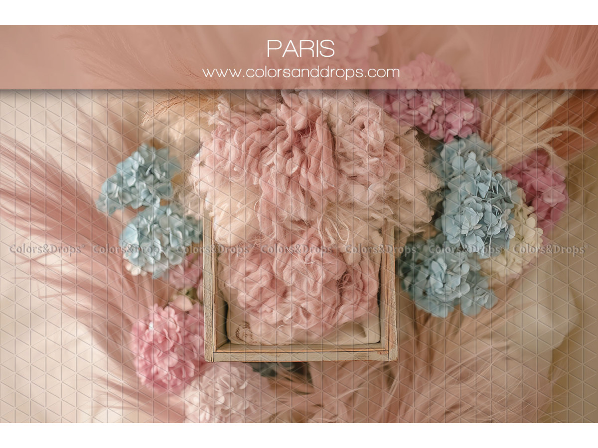 Newborn photo backdrop Paris – frame with pink wool and hydrangeas | Colors&Drops