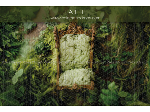 Fond photo nouveau-né La Fee – cadre doré avec laine verte dans la mousse | Colors&Drops