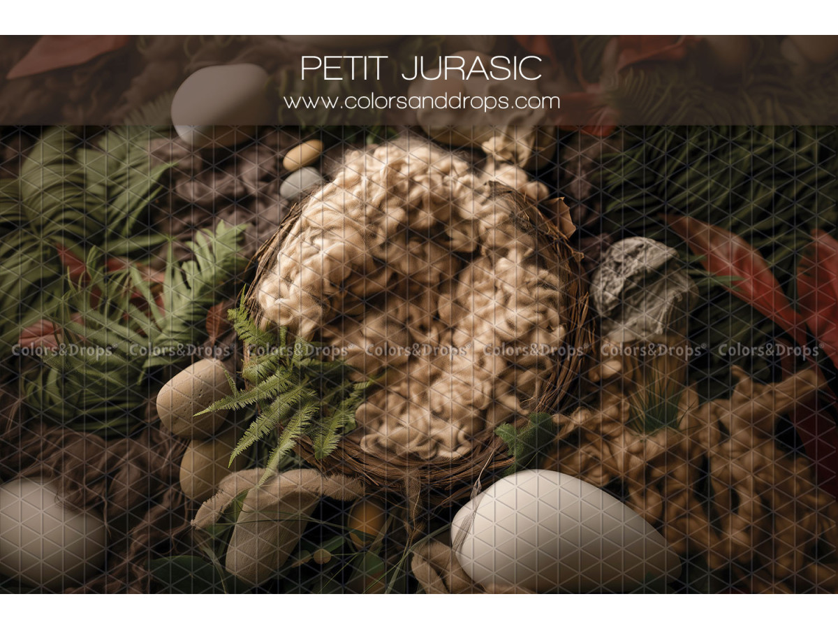 Newborn photo backdrop Petit Jurasik – wool nest among ferns and pebbles | Colors&Drops