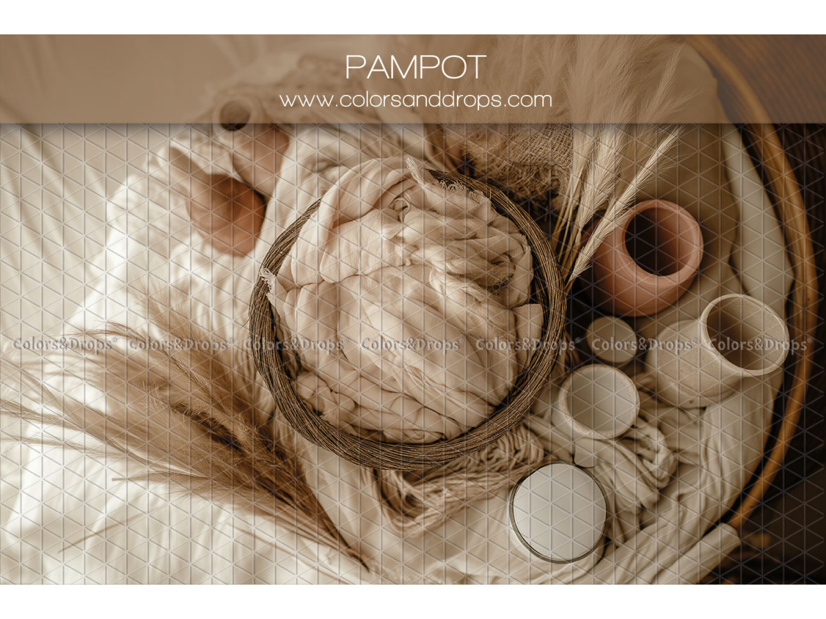 Newborn photo backdrop Pampot – fabric nest with ceramic vases and pampas | Colors&Drops
