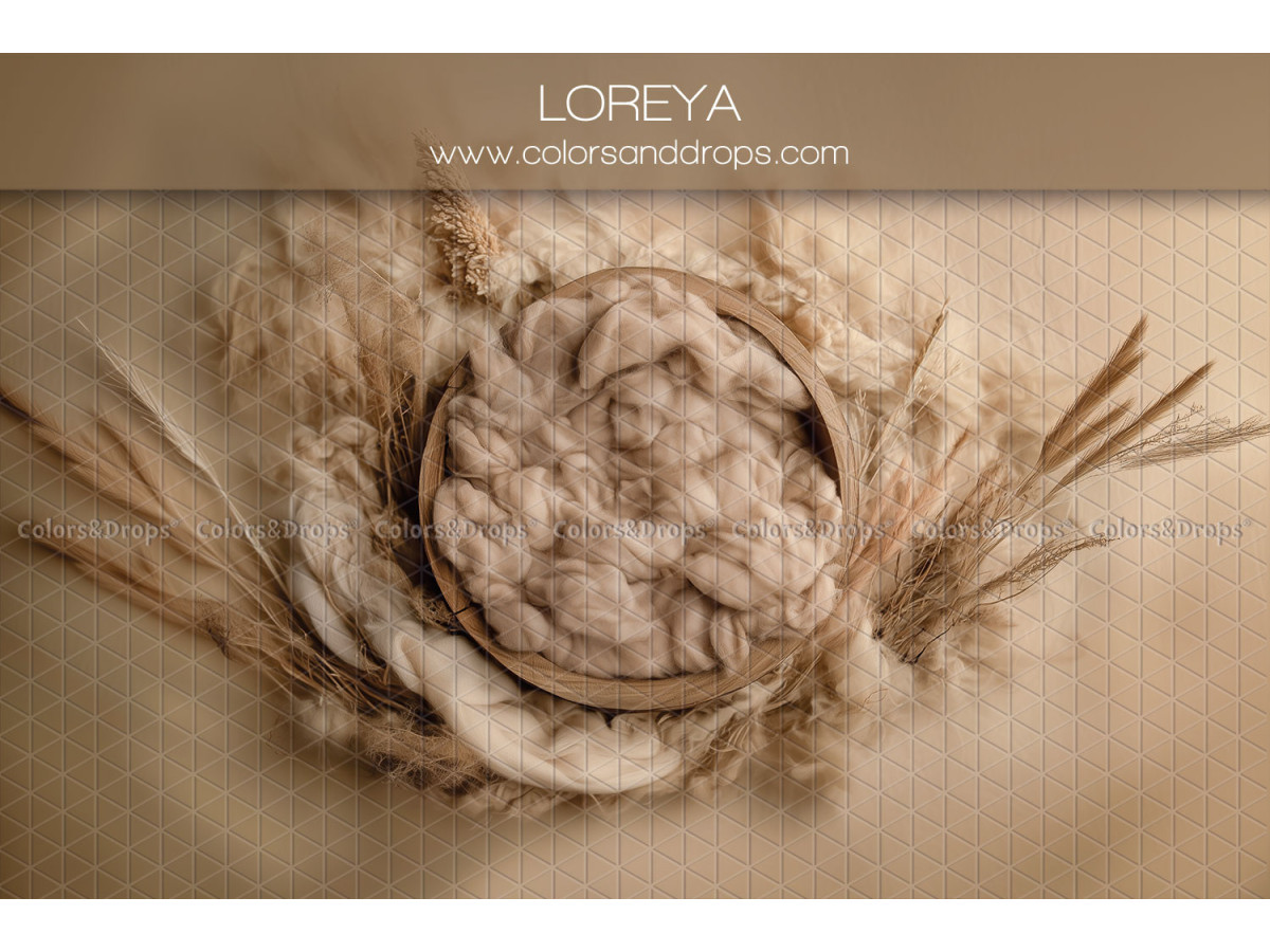 Newborn photo backdrop Loreya – twig nest with cream fabric and pampas | Colors&Drops