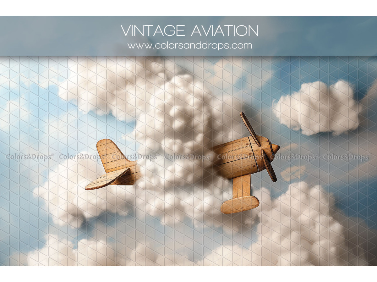 Fond photo nouveau-né Vintage Aviation – avion en bois dans les nuages | Colors&Drops