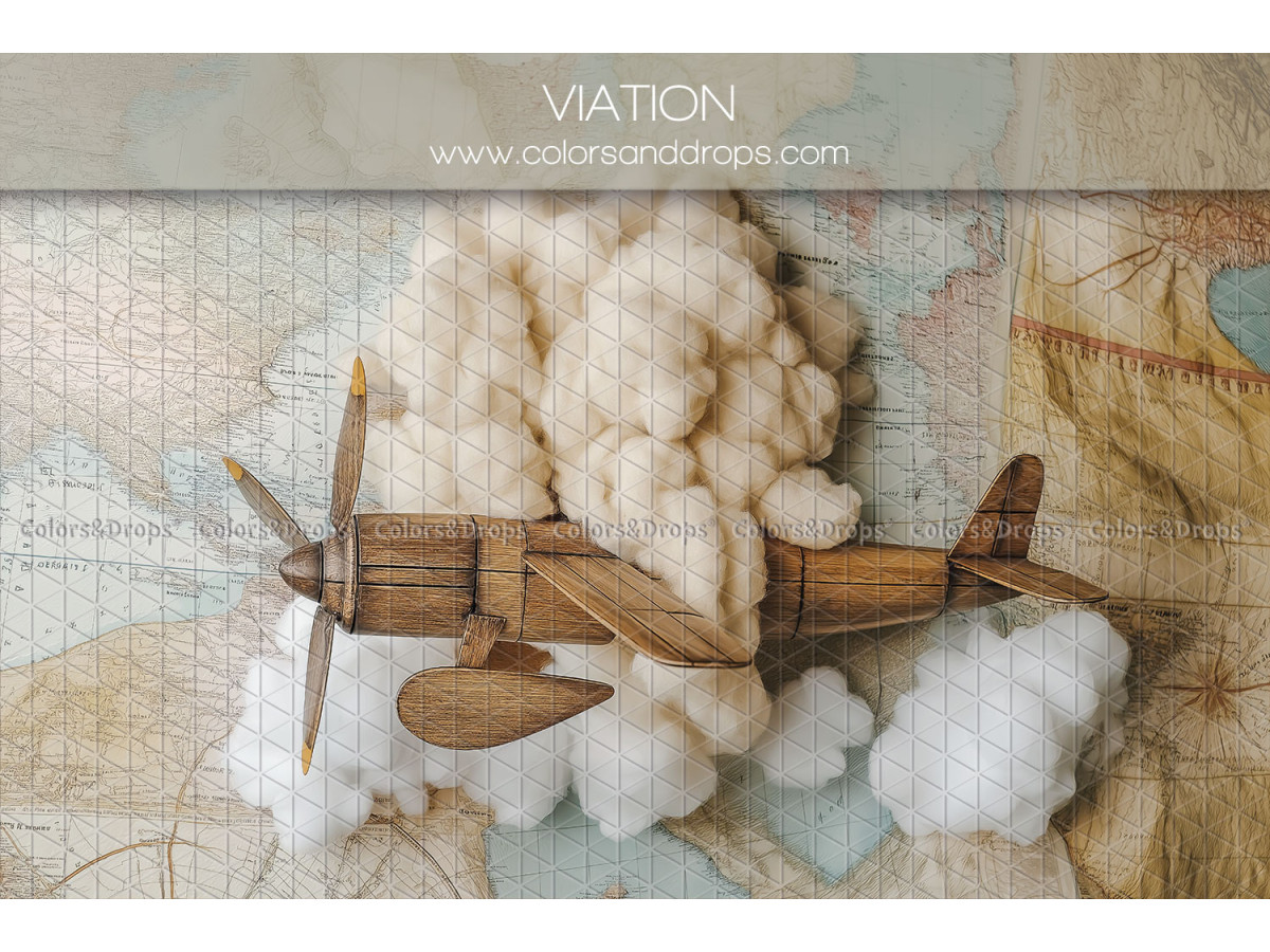 Fondo fotográfico de recién nacido Viation – avión de madera sobre nubes y mapa | Colors&Drops