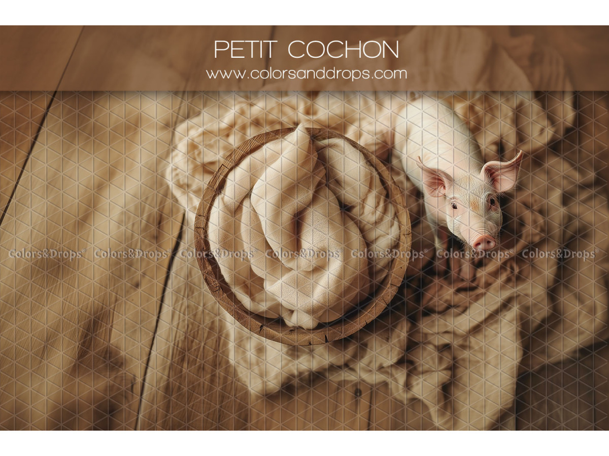 Fond photo nouveau-né Petit Cochon – nid en bois avec petit cochon sur plancher | Colors&Drops