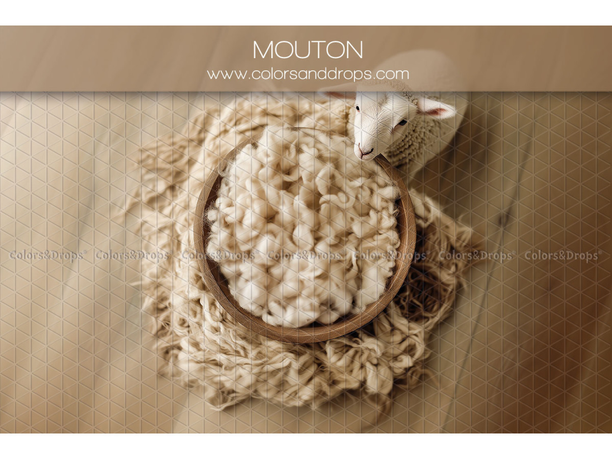 Newborn photo backdrop Mouton – wool nest with sheep | Colors&Drops