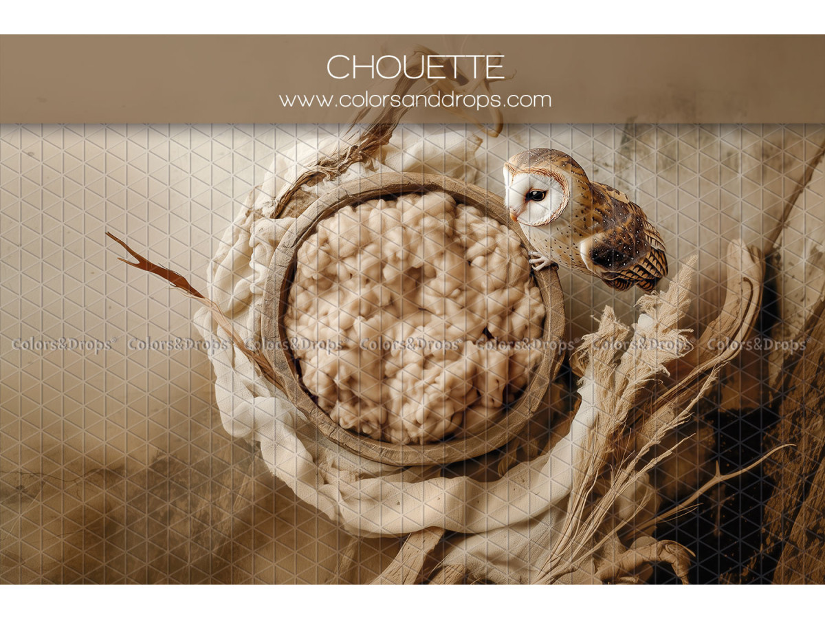 Newborn photo backdrop Chouette – wool nest with owl and grasses | Colors&Drops
