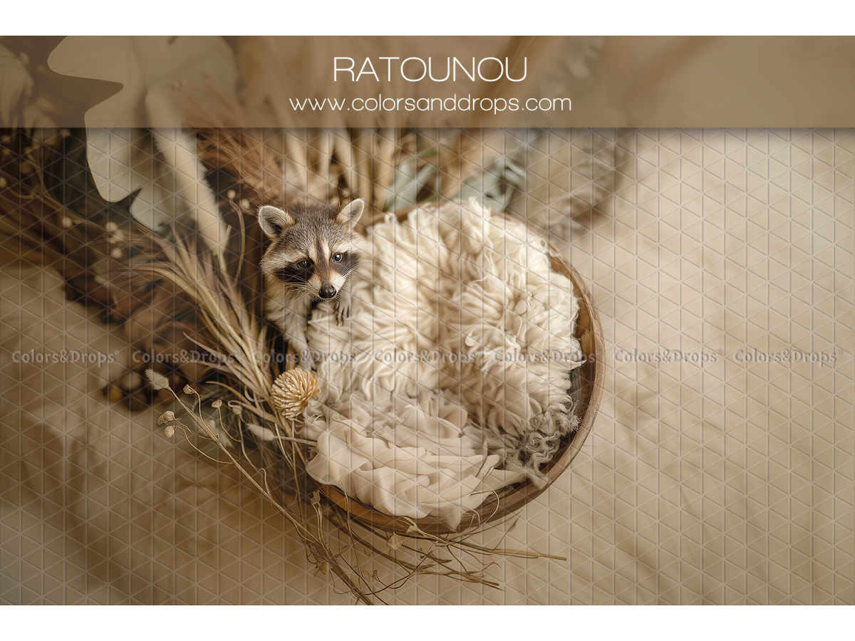 Newborn photo backdrop Ratounou – fur nest with raccoon and dried grasses | Colors&Drops