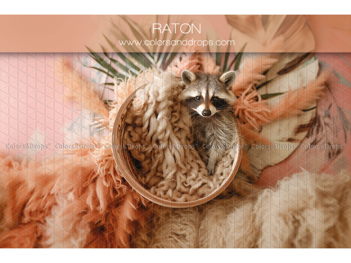 Newborn photo backdrop Raton – wicker nest with raccoon and orange feathers | Colors&Drops
