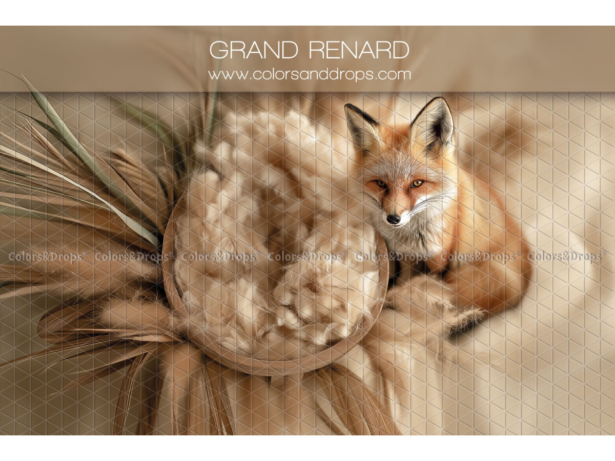 Fond photo nouveau-né Grand Renard – nid en laine avec renard et herbes séchées | Colors&Drops