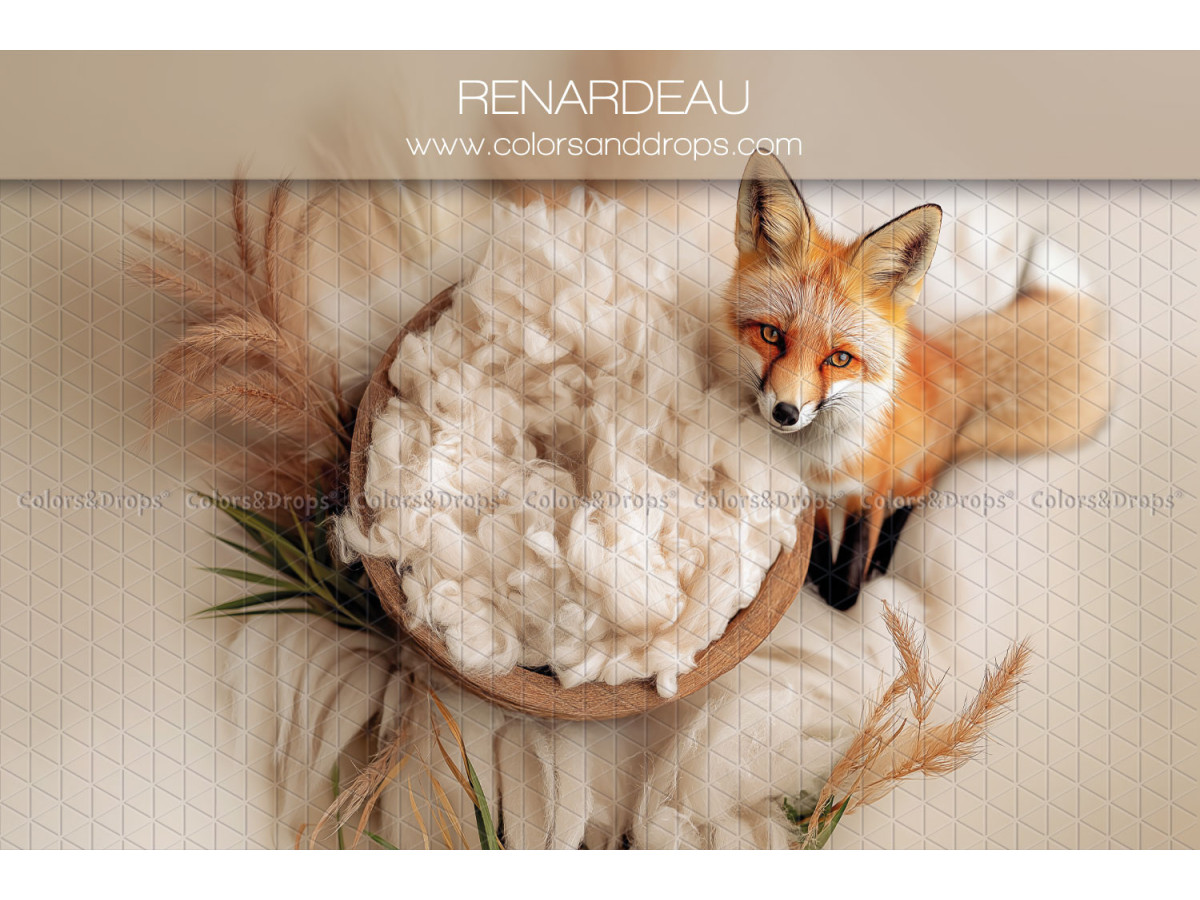 Newborn photo backdrop Renardeau – wool nest with fox cub and pampas | Colors&Drops