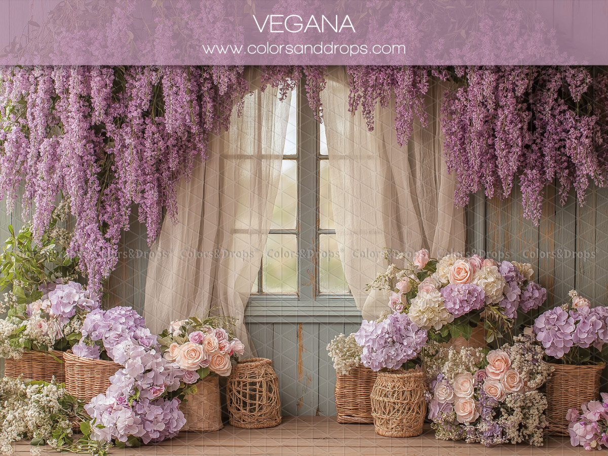 Fond photo fête des mères et des pères Vegana – fenêtre avec glycine et paniers d'hortensias | Colors&Drops
