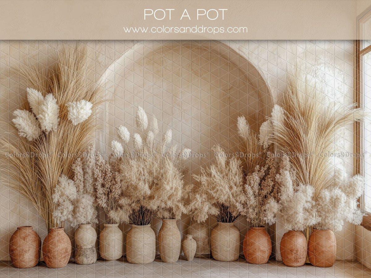 Fond photo grossesse et portrait Pot a Pot – arche avec rangée de vases en terre et pampa | Colors&Drops
