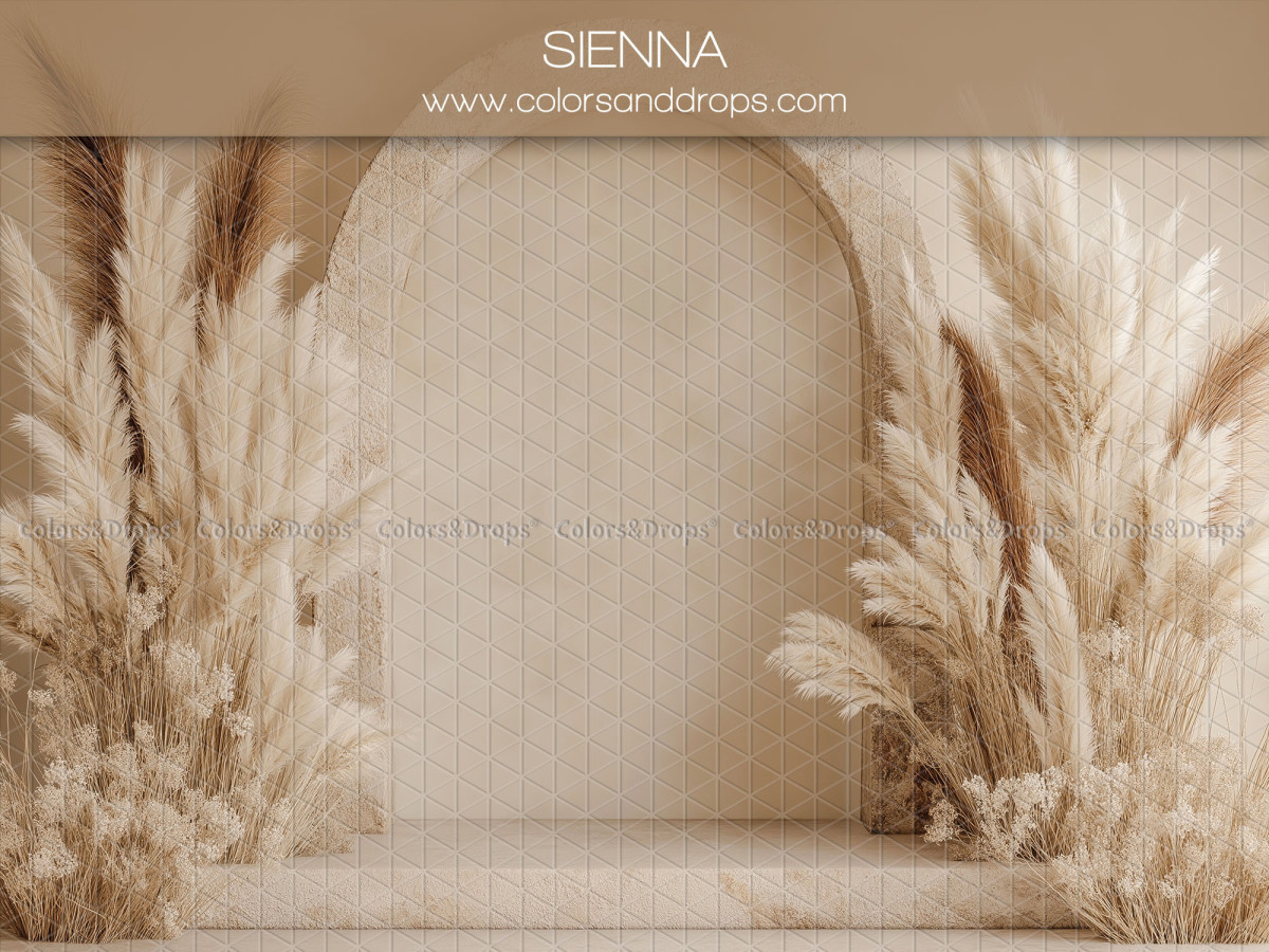 Fond photo grossesse et portrait Sienna – arche lumineuse avec massifs de pampa | Colors&Drops