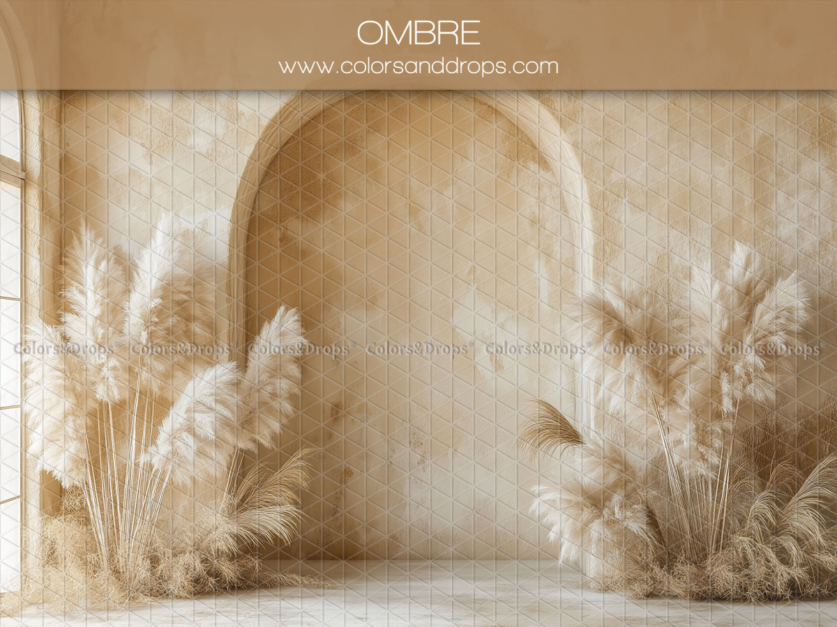 Fond photo grossesse et portrait Ombre – arche murale ombrée avec pampa blanche | Colors&Drops