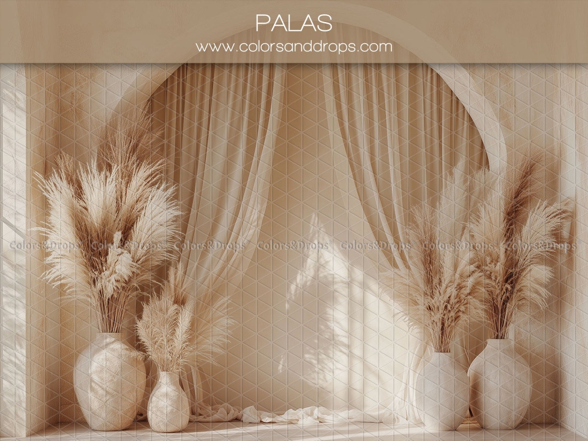 Fond photo grossesse et portrait Palas – arche avec voilages et vases de pampa blancs | Colors&Drops