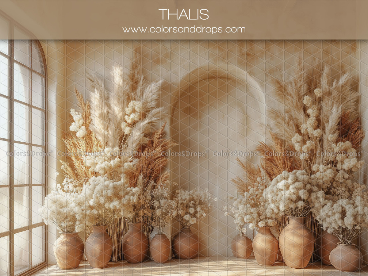 Fond photo grossesse et portrait Thalis – arche avec pampa et vases en terre cuite | Colors&Drops