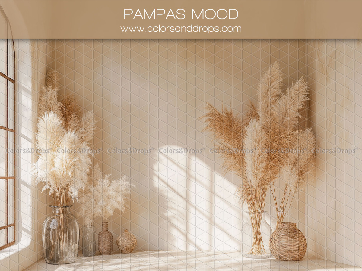 Fondo fotográfico de embarazo y retrato Pampa Mood – pared beige soleada con jarrones de pampa | Colors&Drops