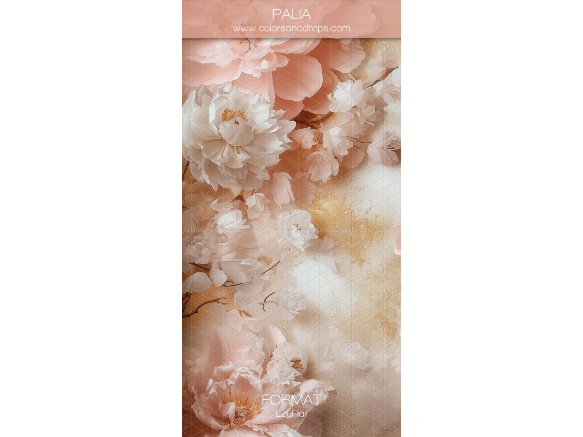 Fond photo Palia – pivoines rose pêche peintes effet flou | Colors&Drops