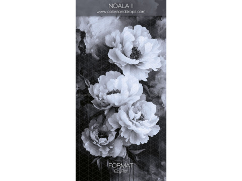 Photo backdrop Noala II – white peonies on black and grey background | Colors&Drops