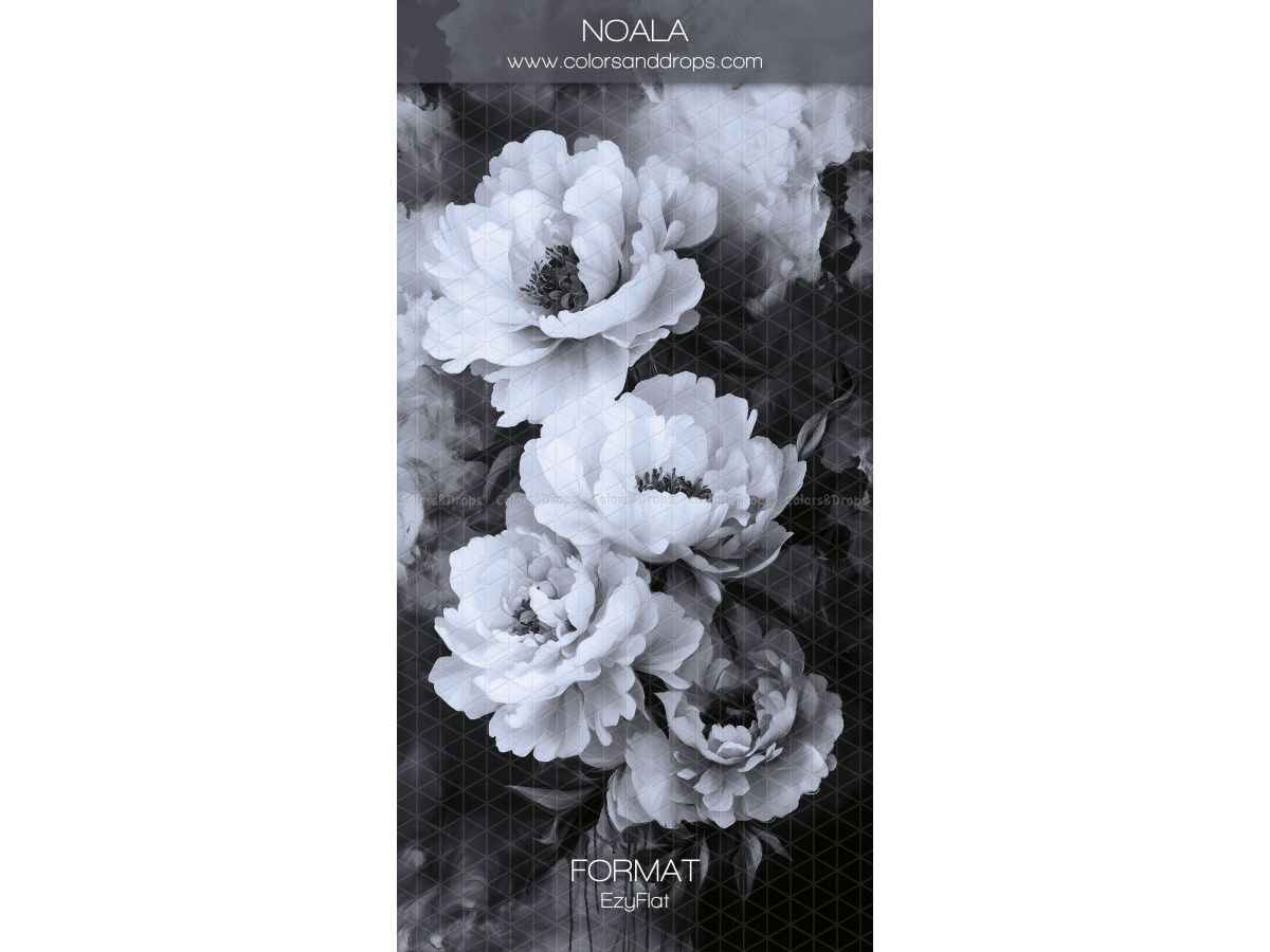 Photo backdrop Noala – white peonies on black and grey background | Colors&Drops