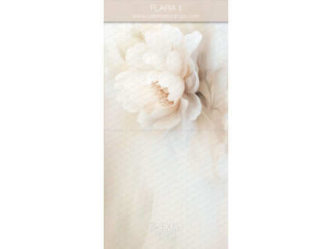 Photo backdrop Flara II – painted white peony on cream background | Colors&Drops