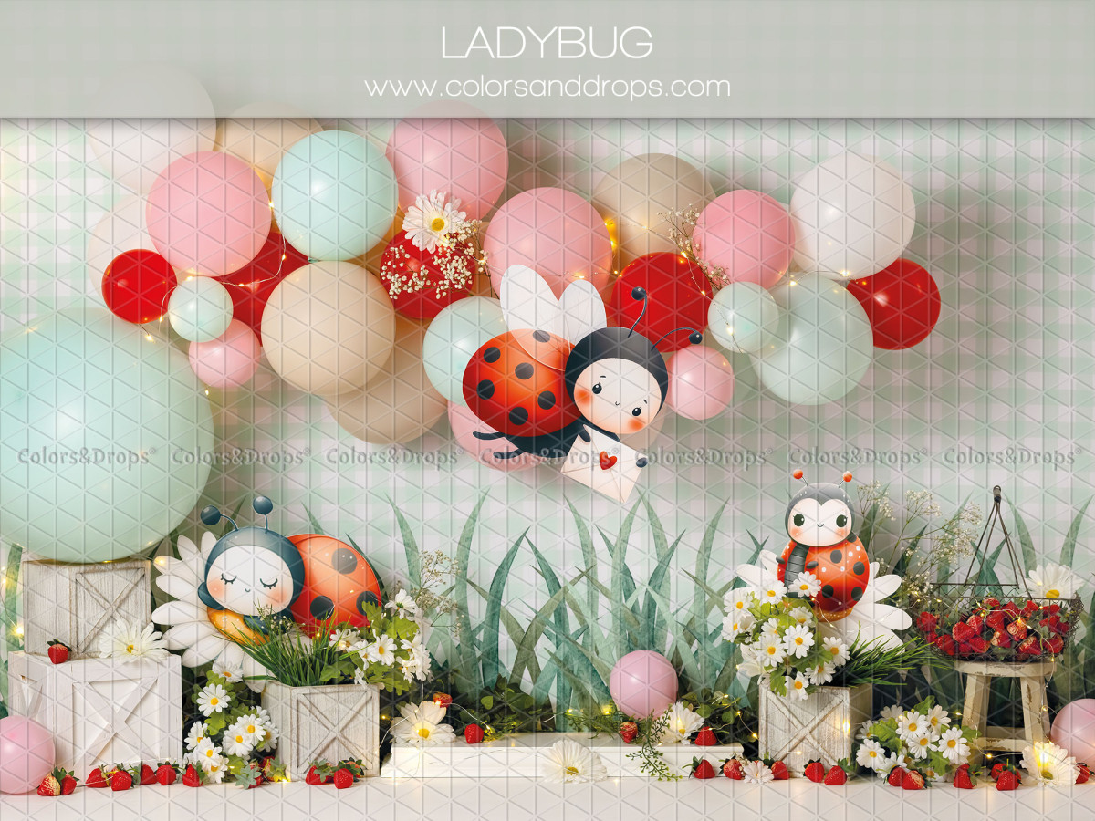 Fondo fotográfico de bebé y smash cake Ladybug – globos pastel con mariquitas y flores | Colors&Drops