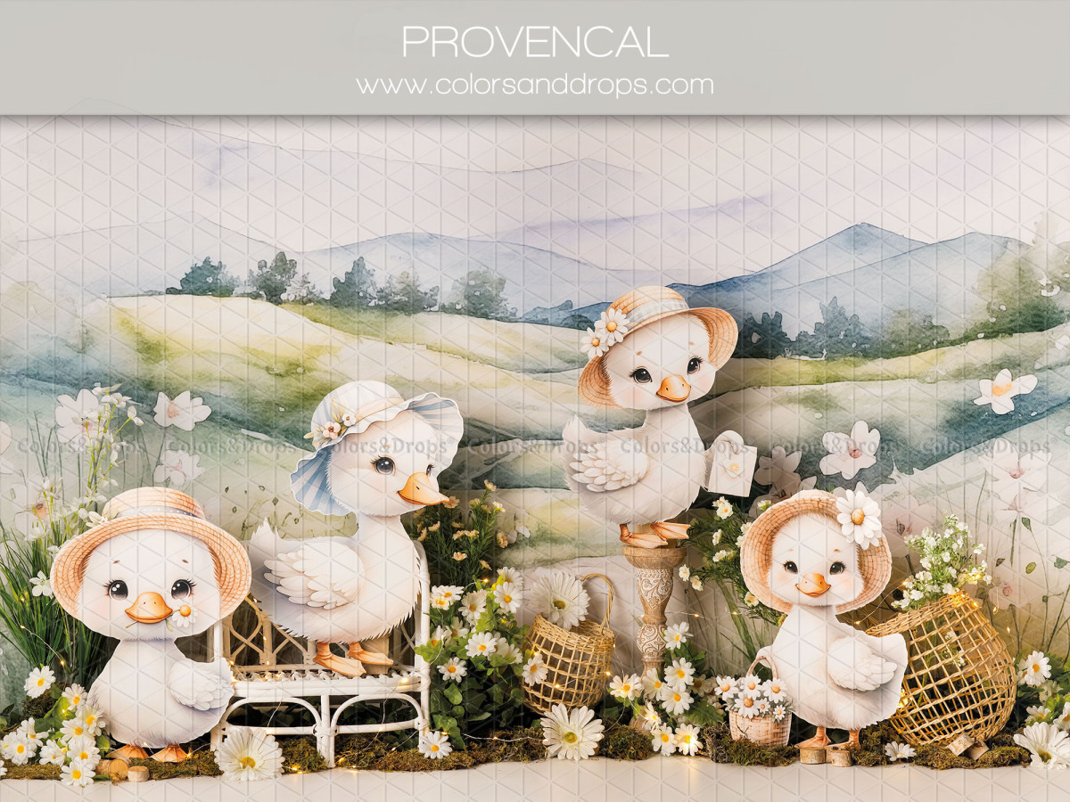 Fond photo bébé et smash cake Provencal – canetons en peluche dans un paysage provençal | Colors&Drops