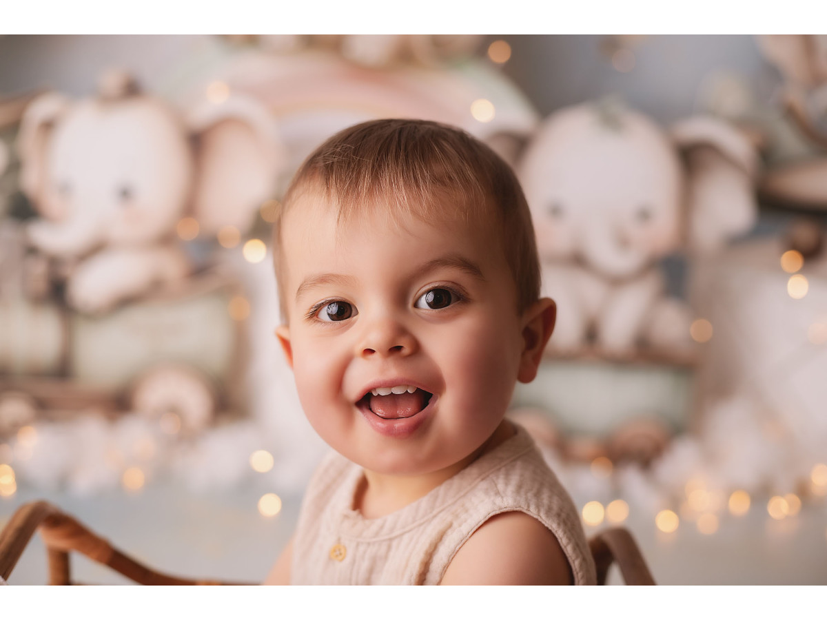 Baby & cake smash photo backdrop Little Phan – plush elephants on white crates | Colors&Drops