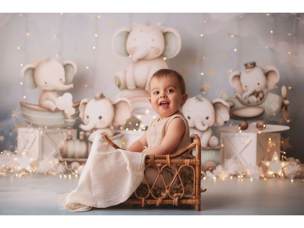 Baby & cake smash photo backdrop Little Phan – plush elephants on white crates | Colors&Drops