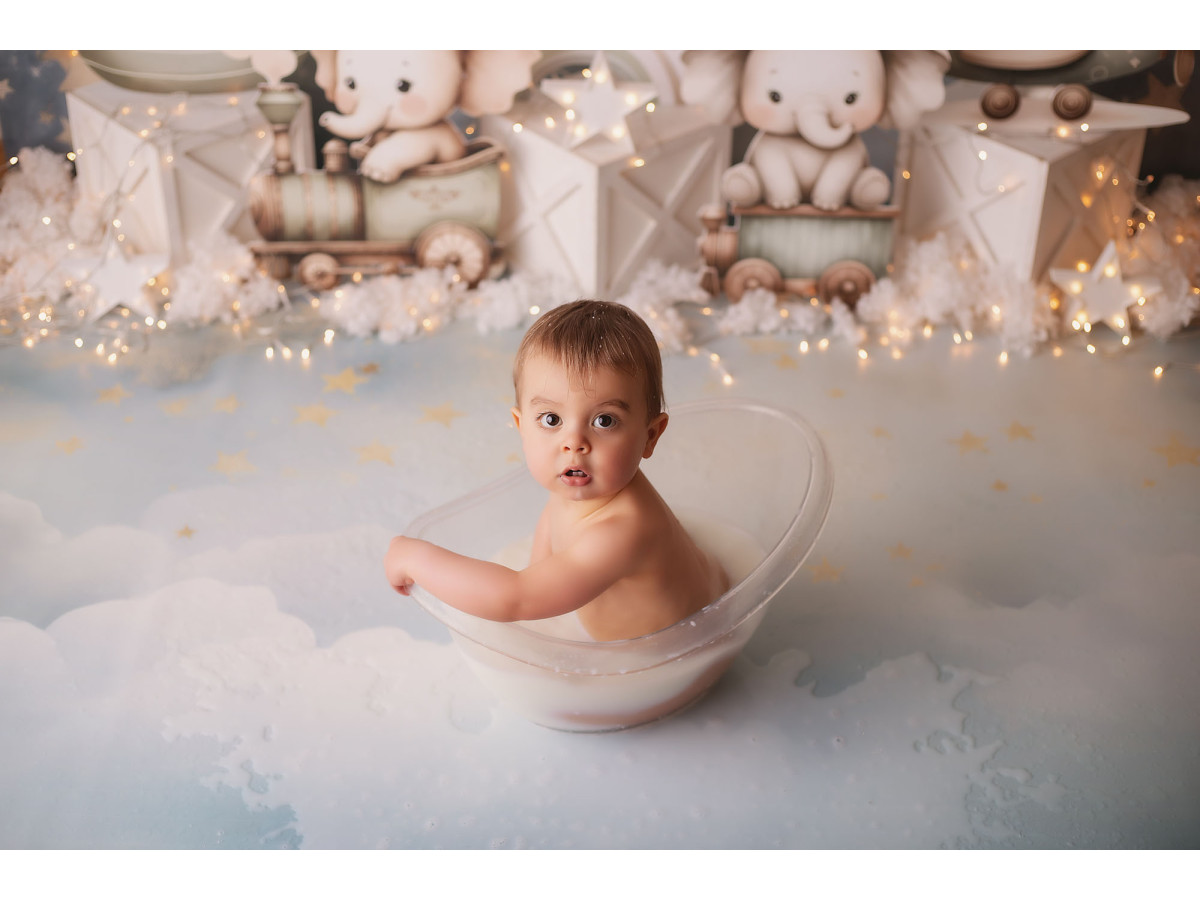 Baby & cake smash photo backdrop Little Phan – plush elephants on white crates | Colors&Drops