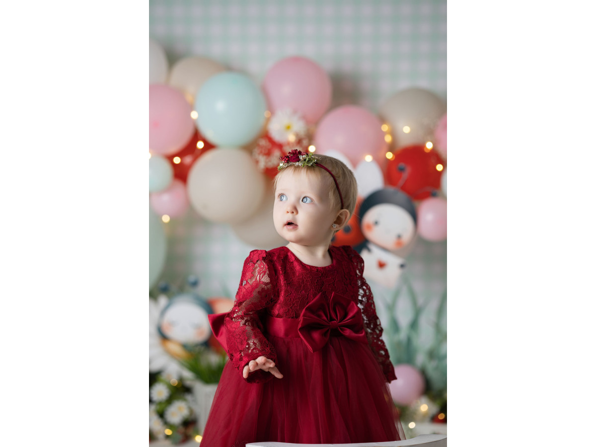 Fondo fotográfico de bebé y smash cake Ladybug – globos pastel con mariquitas y flores | Colors&Drops