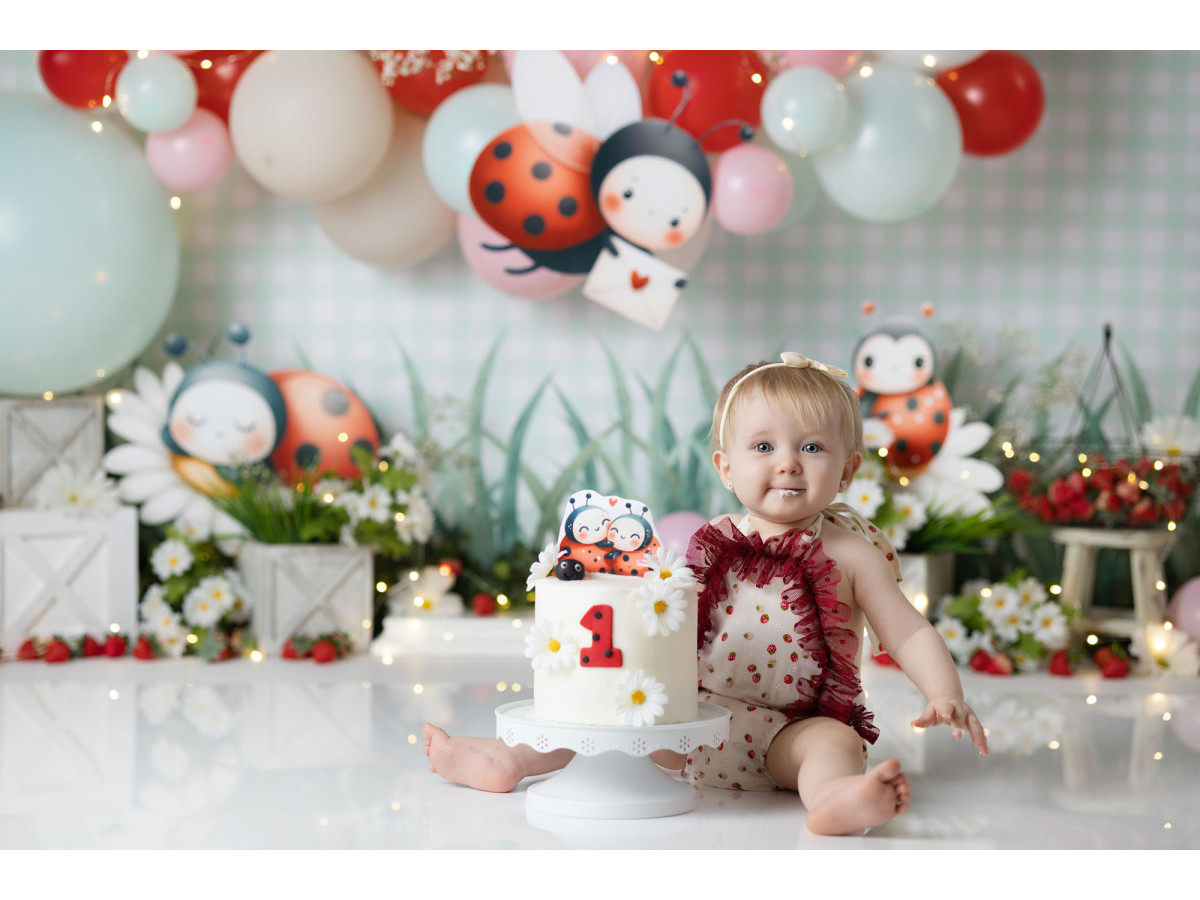 Fondo fotográfico de bebé y smash cake Ladybug – globos pastel con mariquitas y flores | Colors&Drops