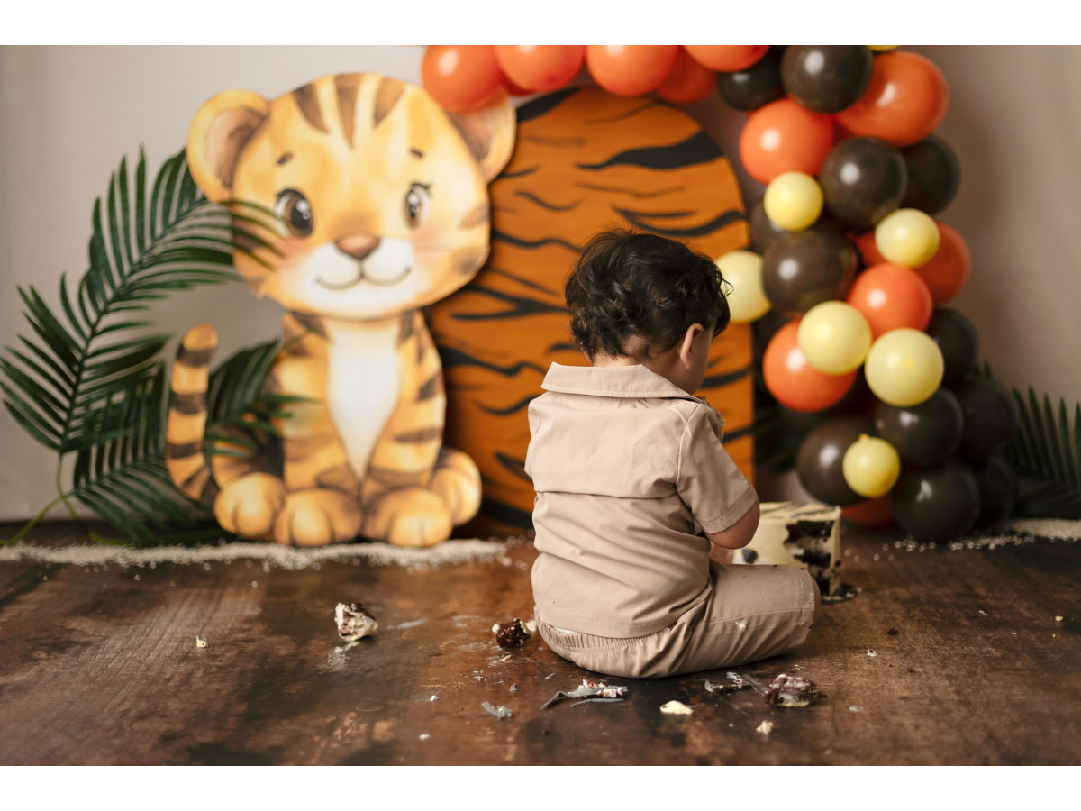 Fond photo bébé et smash cake Meow Tiger – tigre en peluche avec arche de ballons | Colors&Drops