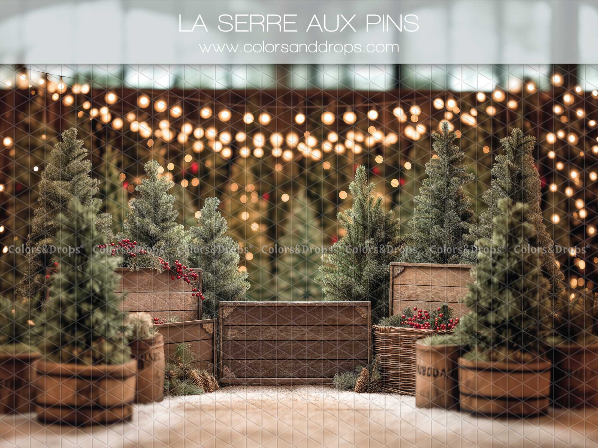 Fondo fotográfico de Navidad La Serre aux Pins – vivero de abetos con guirnaldas de luces | Colors&Drops
