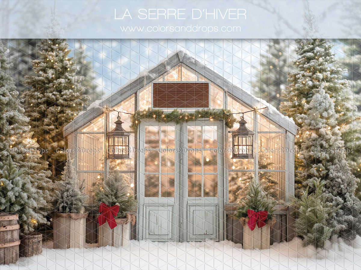Christmas photo backdrop La Serre D'Hiver – glass winter greenhouse surrounded by snowy trees | Colors&Drops