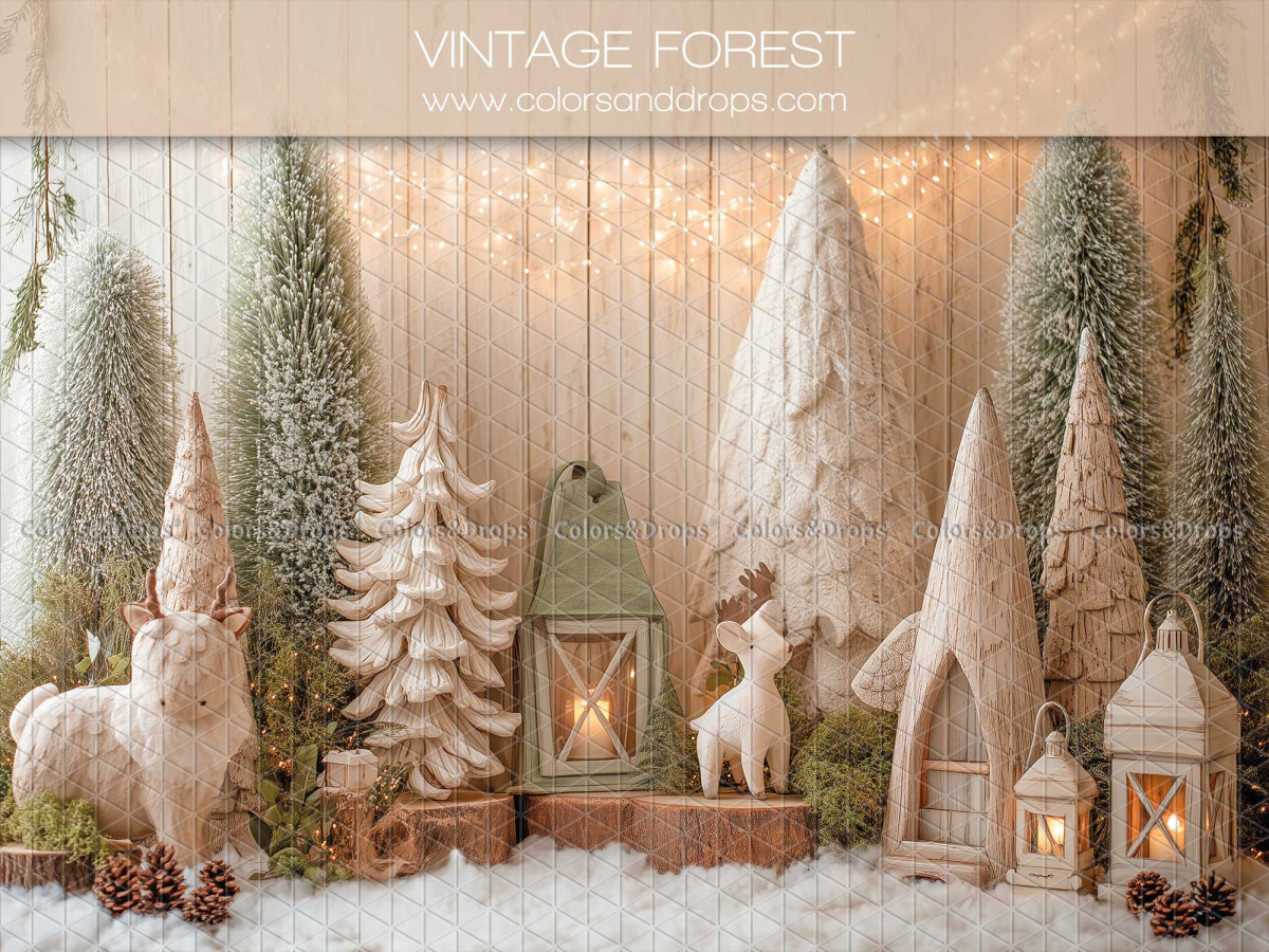 Christmas photo backdrop Vintage Forest – vintage forest with white trees and lanterns | Colors&Drops