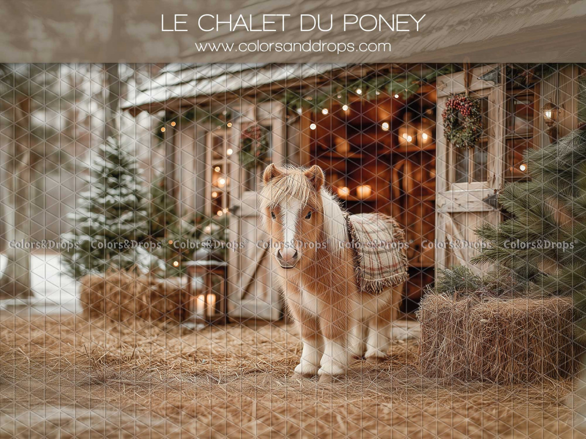 Fond photo de Noël Le Chalet du Poney – poney dans une écurie de Noël enneigée | Colors&Drops