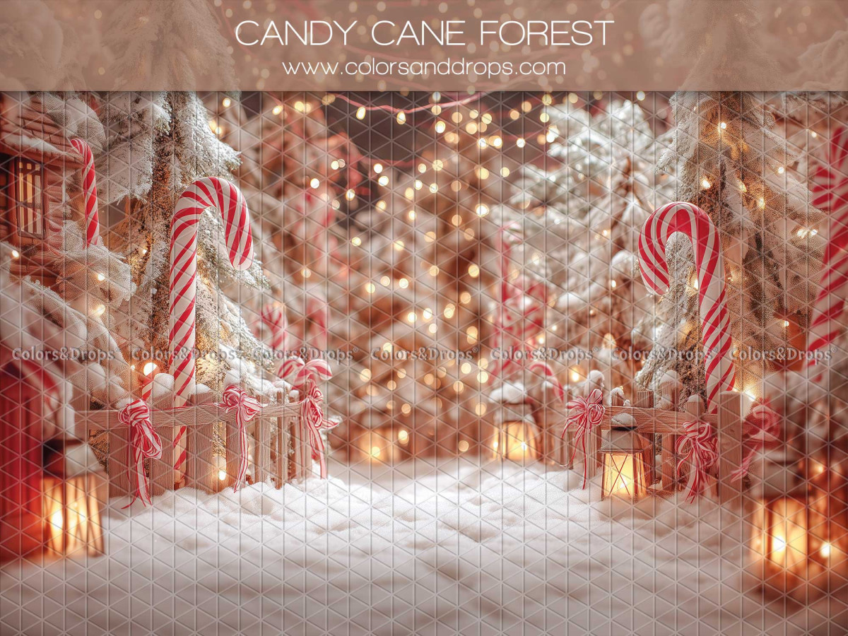 Fondo fotográfico de Navidad Candy Cane Forest – bosque de bastones de caramelo nevado con faroles | Colors&Drops