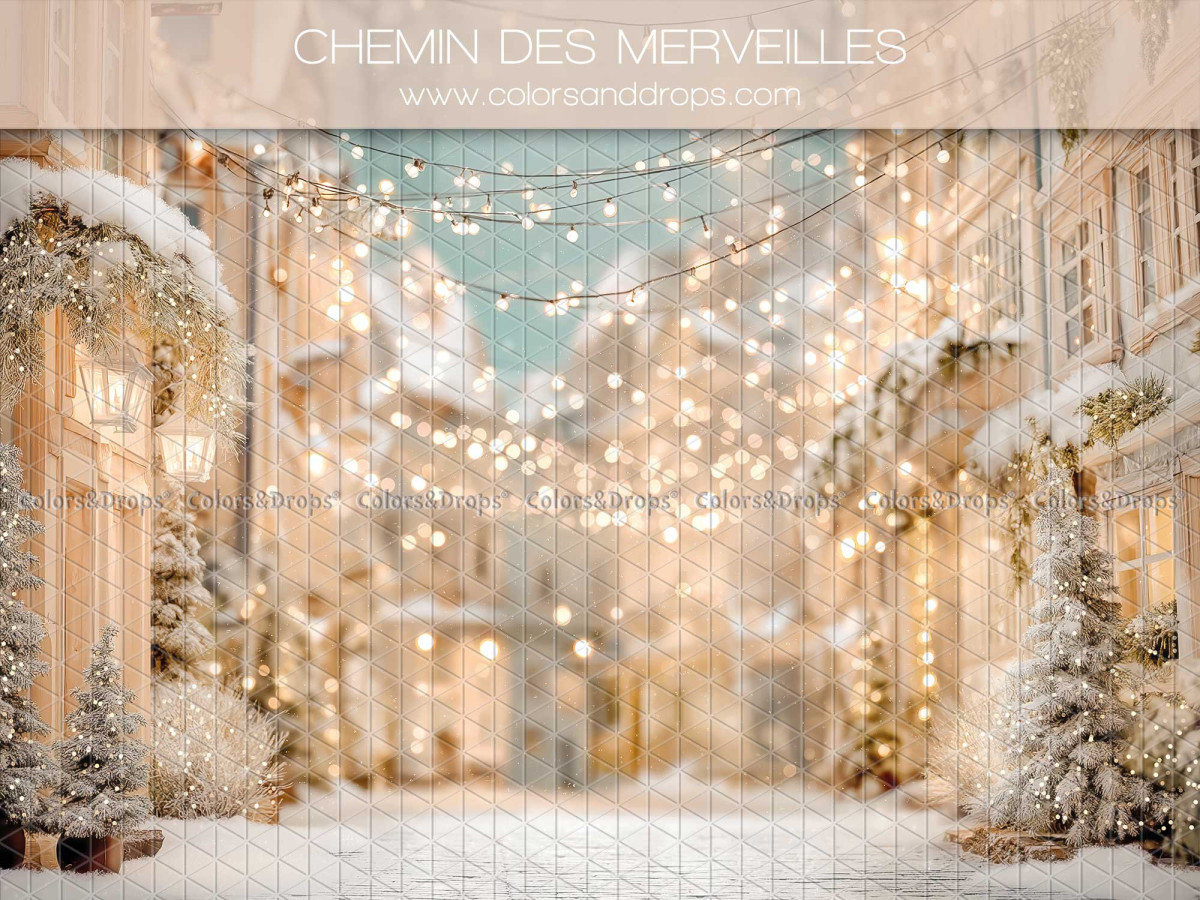 Fondo fotográfico de Navidad Chemin des Merveilles – calle navideña nevada con guirnaldas de luces | Colors&Drops