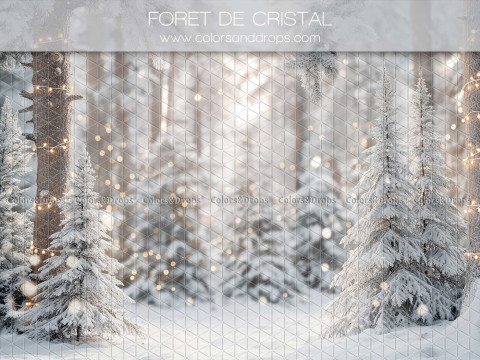 Fondo fotográfico de Navidad Foret de Cristal – bosque de abetos helados blanco | Colors&Drops
