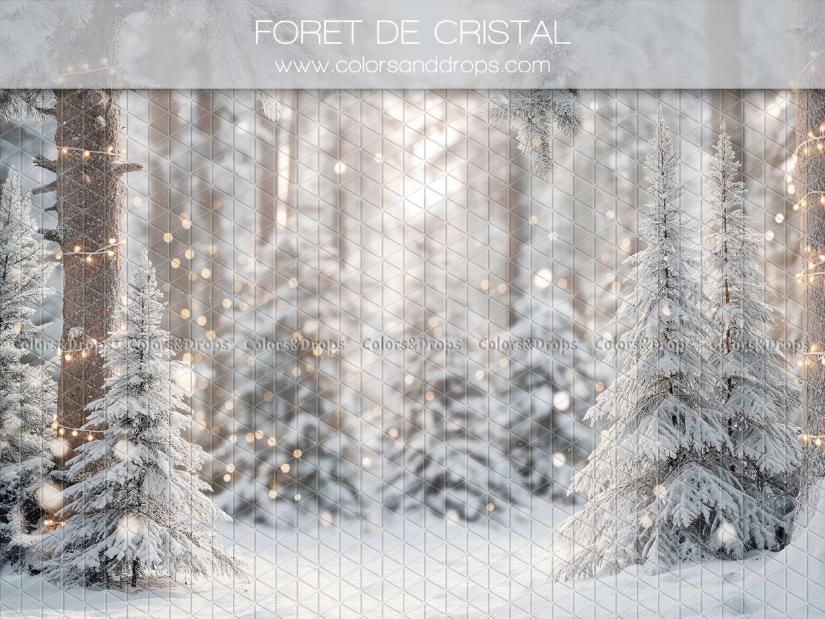 Fond photo de Noël Foret de Cristal – forêt de sapins givrés blanche | Colors&Drops