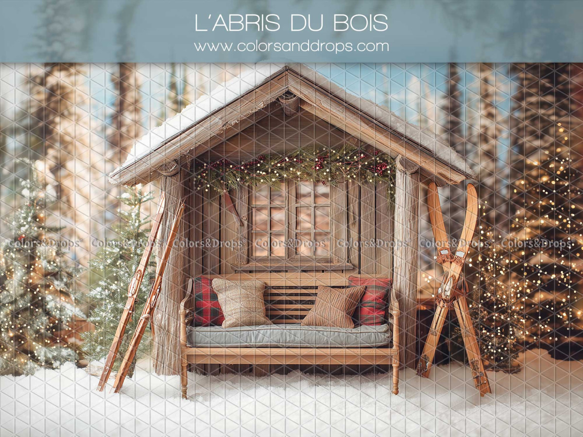 Fond photo de Noël L'Abris du Bois – abri en bois avec balancelle dans la neige | Colors&Drops